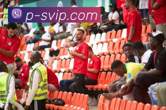 B体育官网平台生态图