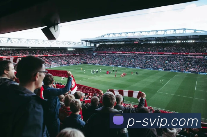 B体育官网APP 封面图